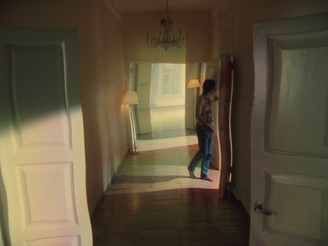 Video Reference: Fixture, Wood, Door, Flooring, Floor, Hardwood, Hall, Ceiling, Home door, House