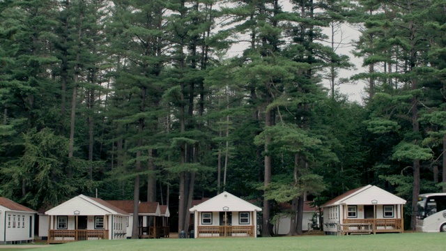 Video Reference: Plant, Building, Window, Tree, House, Larch, Natural landscape, Land lot, Sky, Biome