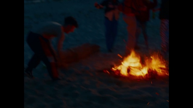 Video Reference: Bonfire, Fire, Heat, Gas, Flame, Campfire, Event, Landscape, Smoke, Fun