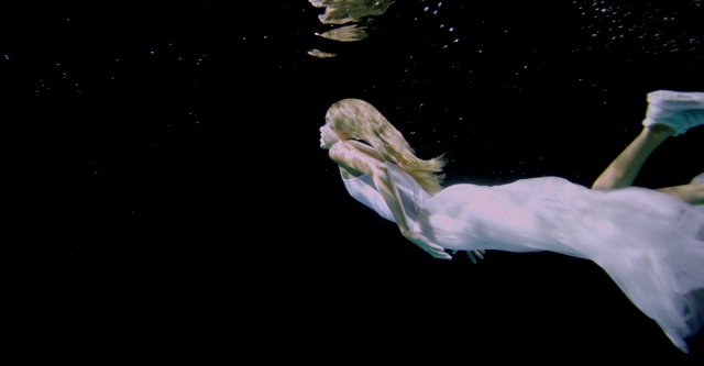 Video Reference: Water, Organism, Gesture, Liquid, Underwater, Marine biology, Seabird, Lake, Beak, Pelecaniformes