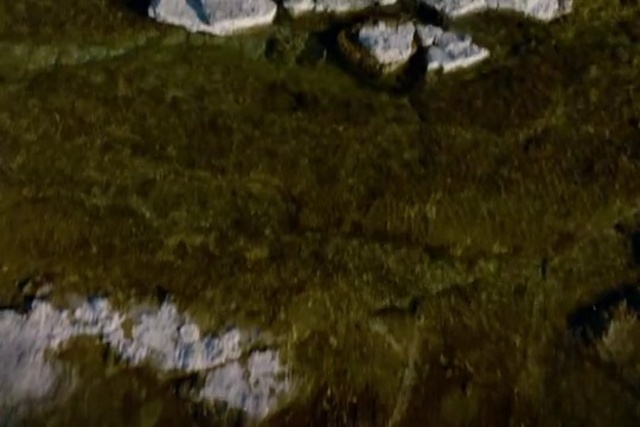 Video Reference: Wood, Bedrock, Landscape, Grass, Natural landscape, Soil, Slope, Hill, Forest, Grassland