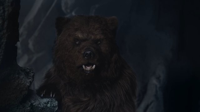 Video Reference: bear, animal, wildlife, cave, dark, furry, predator, close-up, rocky, forest, nature, low-light, face, dangerous, mammal