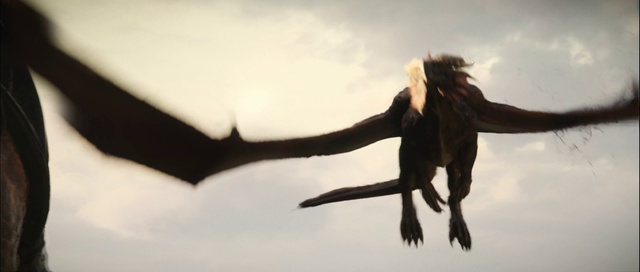 Video Reference: Cloud, Sky, Branch, Flash photography, Plant, Twig, People in nature, Gesture, Happy, Wood