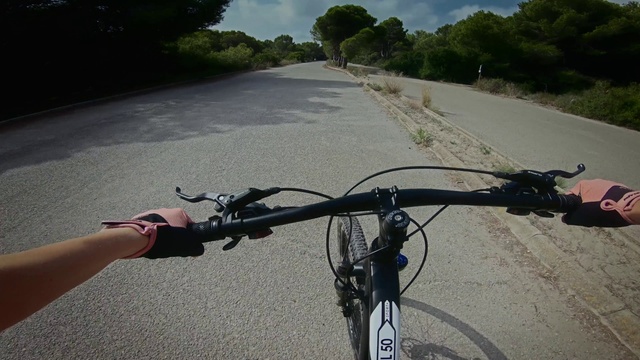 Video Reference: Bicycle, Land vehicle, Bicycles--Equipment and supplies, Bicycle handlebar, Bicycle frame, Vehicle, Bicycle tire, Bicycle fork, Bicycle accessory, Plant