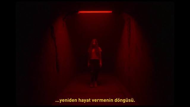 Video Reference: Flash photography, Magenta, Symmetry, Electric blue, Darkness, Art, Event, Graphics, Cg artwork, Fictional character