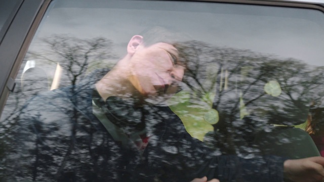 Video Reference: Window, Plant, Leaf, Branch, Organism, Grass, Twig, Vehicle door, Finger, Fawn