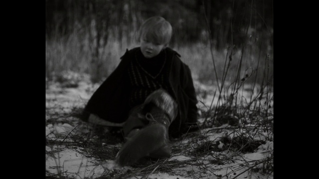 Video Reference: Dog, Plant, Flash photography, People in nature, Black-and-white, Style, Grass, Carnivore, Tints and shades, Companion dog