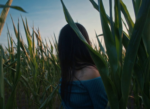 Video Reference: Sky, Plant, Sunglasses, Sunlight, Grass, Terrestrial plant, Happy, Agriculture, People in nature, Grassland