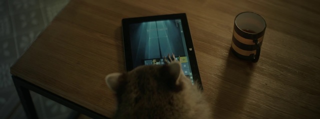 Video Reference: Cat, Carnivore, Wood, Felidae, Small to medium-sized cats, Gadget, Communication Device, Whiskers, Flooring, Electronic device