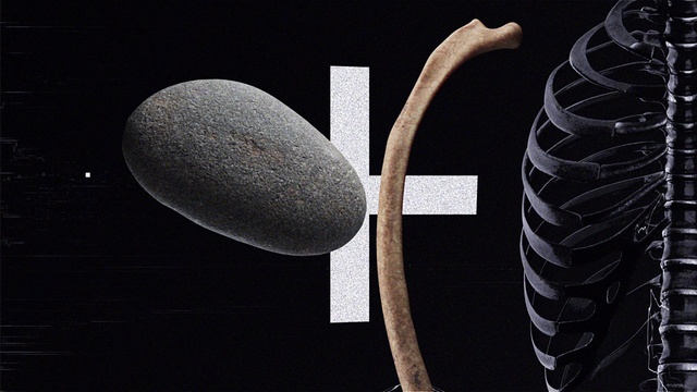 Video Reference: Automotive design, Terrestrial plant, Font, Automotive tire, Circle, Artifact, Art, Plant, Oval, Science