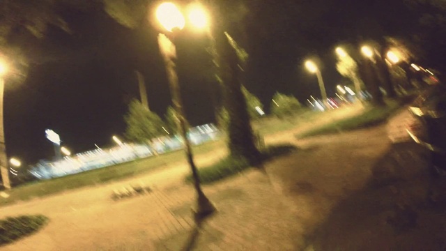 Video Reference: Atmosphere, Street light, Automotive lighting, Road surface, Asphalt, Thoroughfare, Grass, Road, Tints and shades, Sky