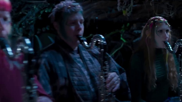 Video Reference: Musician, Music artist, Performing arts, Entertainment, Plant, Music, Hat, Performance art, Event, Darkness