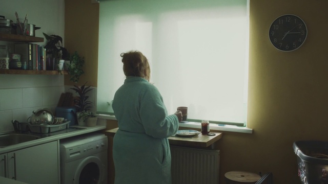 Video Reference: Cabinetry, Standing, Clock, Kitchen, Kitchen appliance, Table, Building, Home appliance, Cooktop, Room