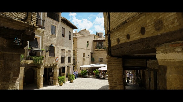 Video Reference: Plant, Sky, Building, Cloud, Window, House, Road surface, City, Alley, Facade