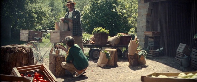 Video Reference: Plant, Fedora, Hat, Temple, Wood, Automotive tire, Wheel, Landscape, Tire, Tree