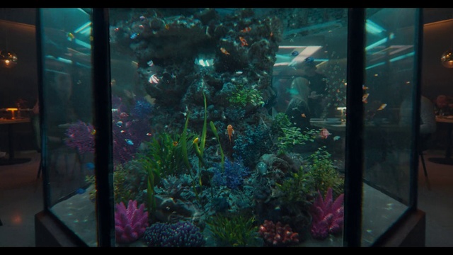 Video Reference: Water, Plant, Organism, Fixture, Aqua, Tints and shades, Art, Glass, Rectangle, Transparent material