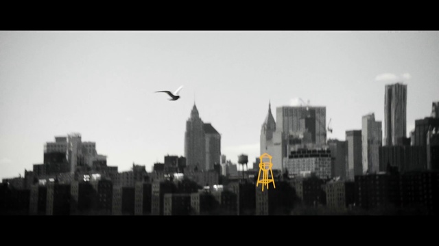 Video Reference: Bird, Sky, Atmosphere, Building, Skyscraper, Black-and-white, Tower block, Atmospheric phenomenon, Horizon, City