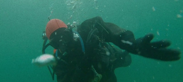 Video Reference: Water, Underwater diving, Vertebrate, Scuba diving, Divemaster, Diving equipment, Underwater, Fluid, Organism, Oxygen mask