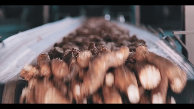 Video Reference: Hair, Food, Ingredient, Jaw, Recipe, Wood, Baked goods, Dish, Cuisine, Cake