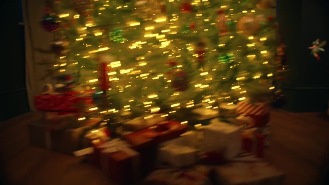 Video Reference: Christmas tree, Christmas ornament, Holiday ornament, Wood, Ornament, Evergreen, Christmas decoration, Plant, Tints and shades, Decoration