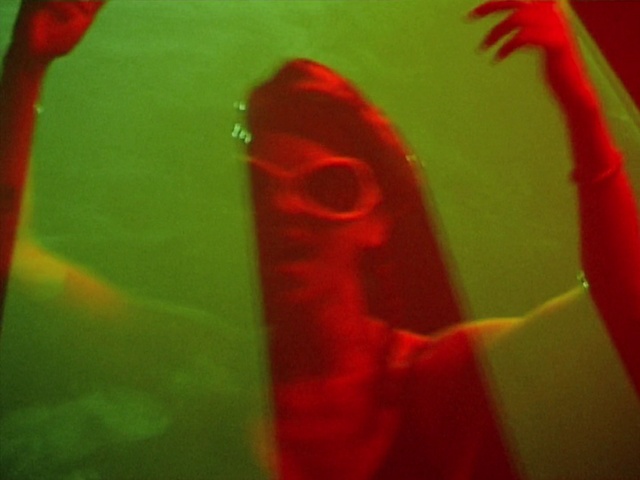 Video Reference: Petal, Plant, Gesture, Magenta, Terrestrial plant, Water, Tints and shades, Flowering plant, Human leg, Close-up