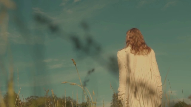 Video Reference: Plant, Cloud, Sky, People in nature, Flash photography, Grass, Wood, Happy, Art, Grassland