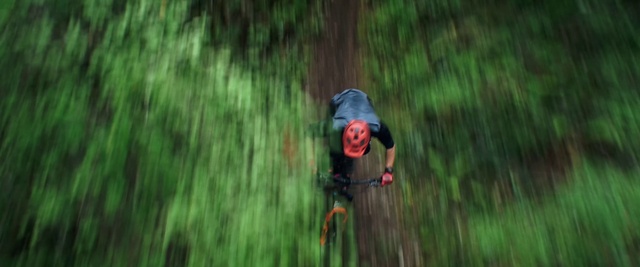 Video Reference: Plant, People in nature, Terrestrial plant, Wood, Tree, Grass, Recreation, Grassland, Leisure, Landscape