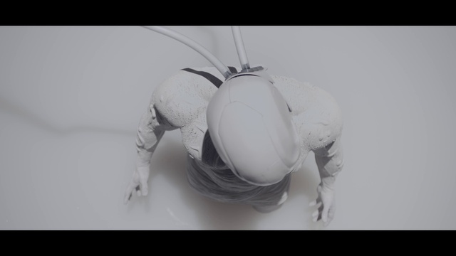 Video Reference: Plant, Flash photography, Gesture, Petal, Font, Art, Insect, Pest, Headpiece, Jewellery