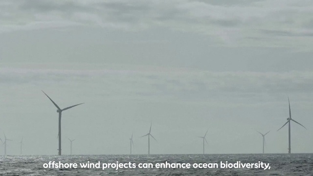 Video Reference: Windmill, Sky, Cloud, Ecoregion, Wind farm, Wind turbine, Electricity, Land lot, Natural landscape, Wind