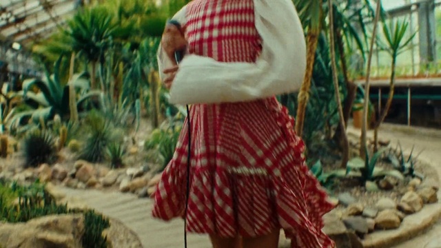 Video Reference: Plant, Outerwear, Tartan, Botany, Sleeve, Grass, Street fashion, People in nature, Adaptation, Arecales