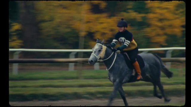 Video Reference: Horse, Working animal, Horse tack, Saddle, Horse supplies, Bit, Equestrian sport, Plant, Bridle, Equestrianism