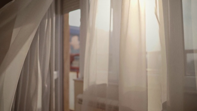 Video Reference: Window, Building, Wood, House, Flooring, Hardwood, Tints and shades, Curtain, Shade, Door