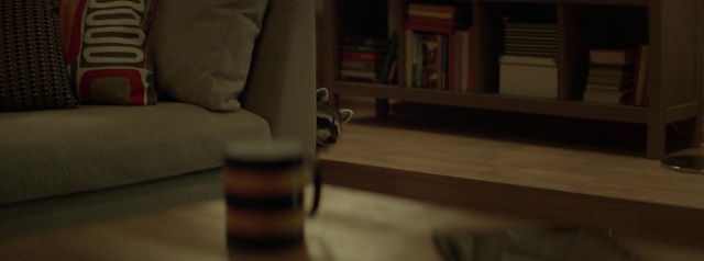 Video Reference: Wood, Textile, Comfort, Flooring, Floor, Shelf, Hardwood, Wood stain, Couch, Tints and shades