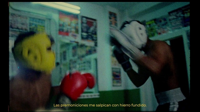 Video Reference: Organism, Gesture, Boxing glove, Toy, Boxing, Striking combat sports, Boxing equipment, Font, Natural foods, Professional boxer