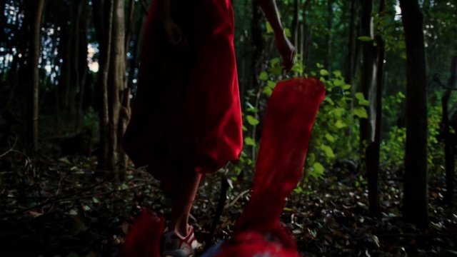 Video Reference: Plant, Wood, People in nature, Organism, Terrestrial plant, Sunlight, Trunk, Grass, Red, Tree