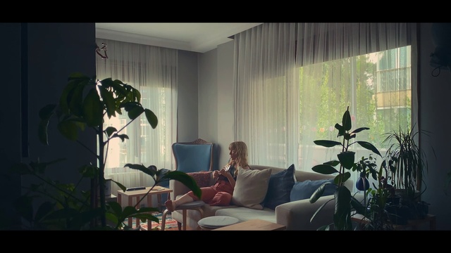 Video Reference: Plant, Building, Houseplant, Lighting, Interior design, Shade, Window, Couch, Lamp, Comfort