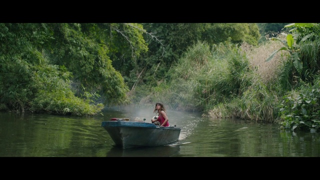 Video Reference: Water, Boat, Plant, Watercraft, Vehicle, Plant community, Tree, Boats and boating--Equipment and supplies, Natural landscape, Lake