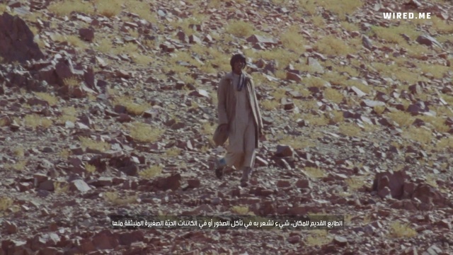 Video Reference: Ecoregion, People in nature, Natural environment, Organism, Sleeve, Grass, Adaptation, Landscape, Soil, Grassland