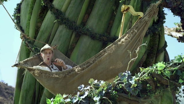 Video Reference: Plant, Green, Leaf, Nature, Botany, Natural environment, Branch, Terrestrial plant, Vegetation, Wood