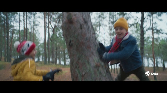 Video Reference: Plant, Tree, People in nature, Branch, Gesture, Outdoor recreation, Helmet, Glove, Wood, Happy