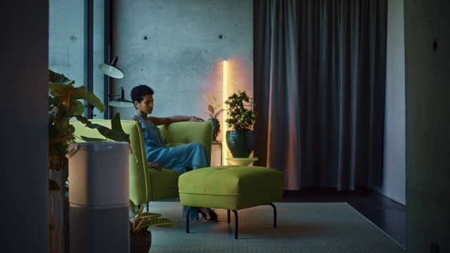 Video Reference: Plant, Property, Comfort, Interior design, Houseplant, Lamp, Wood, Flooring, Tints and shades, Armrest