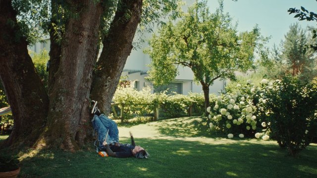 Video Reference: garden, tree, grass, person, lying down, outdoor, sunny, flowers, shrubs, house, relaxing, daytime, backyard, nature, greenery