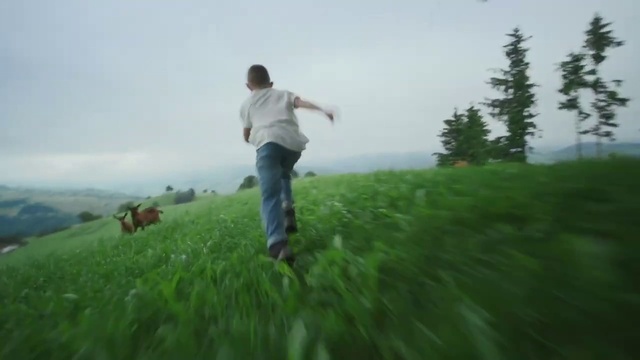 Video Reference: Sky, Plant, People in nature, Natural landscape, Grass, Cloud, Happy, Grassland, Terrestrial plant, Meadow