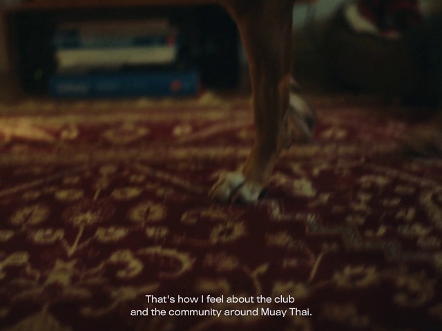 Video Reference: Wood, Flooring, Fawn, Grass, Dog breed, Tints and shades, Hardwood, Tree, Snout, Human leg