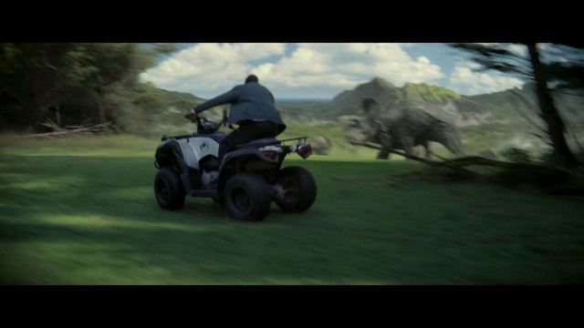 Video Reference: Tire, Cloud, Wheel, Sky, Plant, Vehicle, Automotive tire, Tread, Automotive design, Motor vehicle