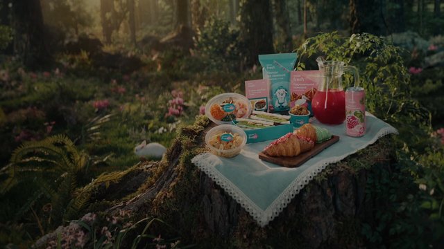 Video Reference: forest, picnic, food, snacks, sandwiches, pastries, drink, pitcher, tablecloth, outdoors, tree stump, nature, sunlight, packaged food, dessert, still life