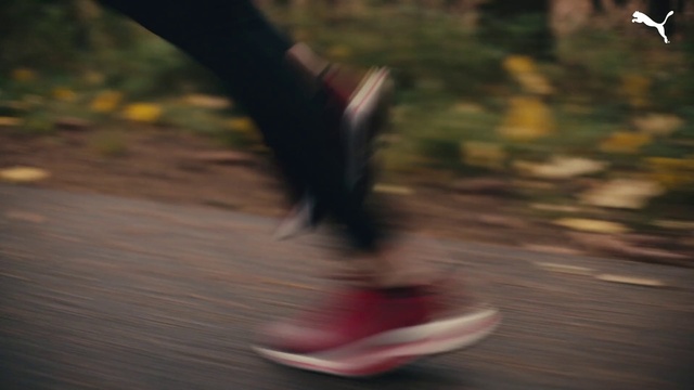 Video Reference: Leg, Human body, People in nature, Road surface, Asphalt, Shorts, Wood, Grass, Thigh, Woody plant
