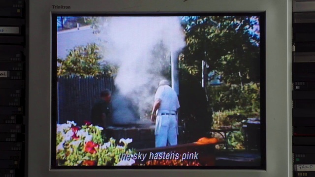 Video Reference: Plant, Output device, Television set, Flat panel display, Television program, Display device, Electronic device, Cable television, Projection screen, Tree