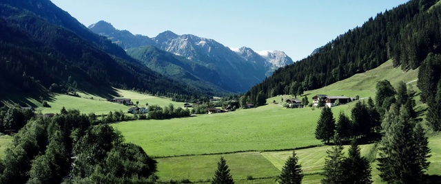 Video Reference: Sky, Mountain, Plant, Ecoregion, Natural landscape, Tree, Natural environment, Slope, Larch, Vegetation
