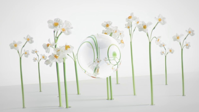Video Reference: Flower, Plant, Botany, Branch, Petal, Art, People in nature, Terrestrial plant, Twig, Illustration